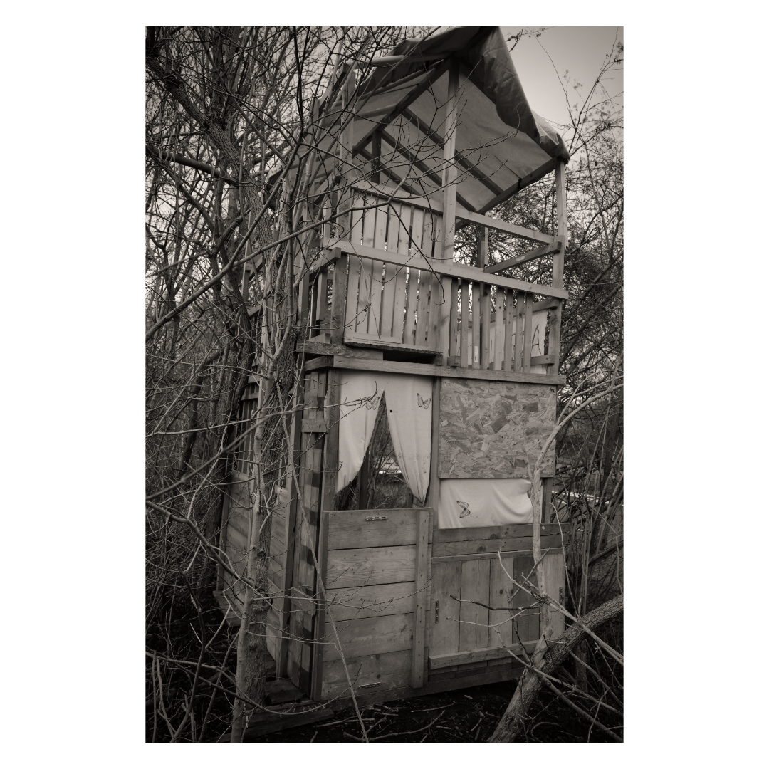cabin in the woods