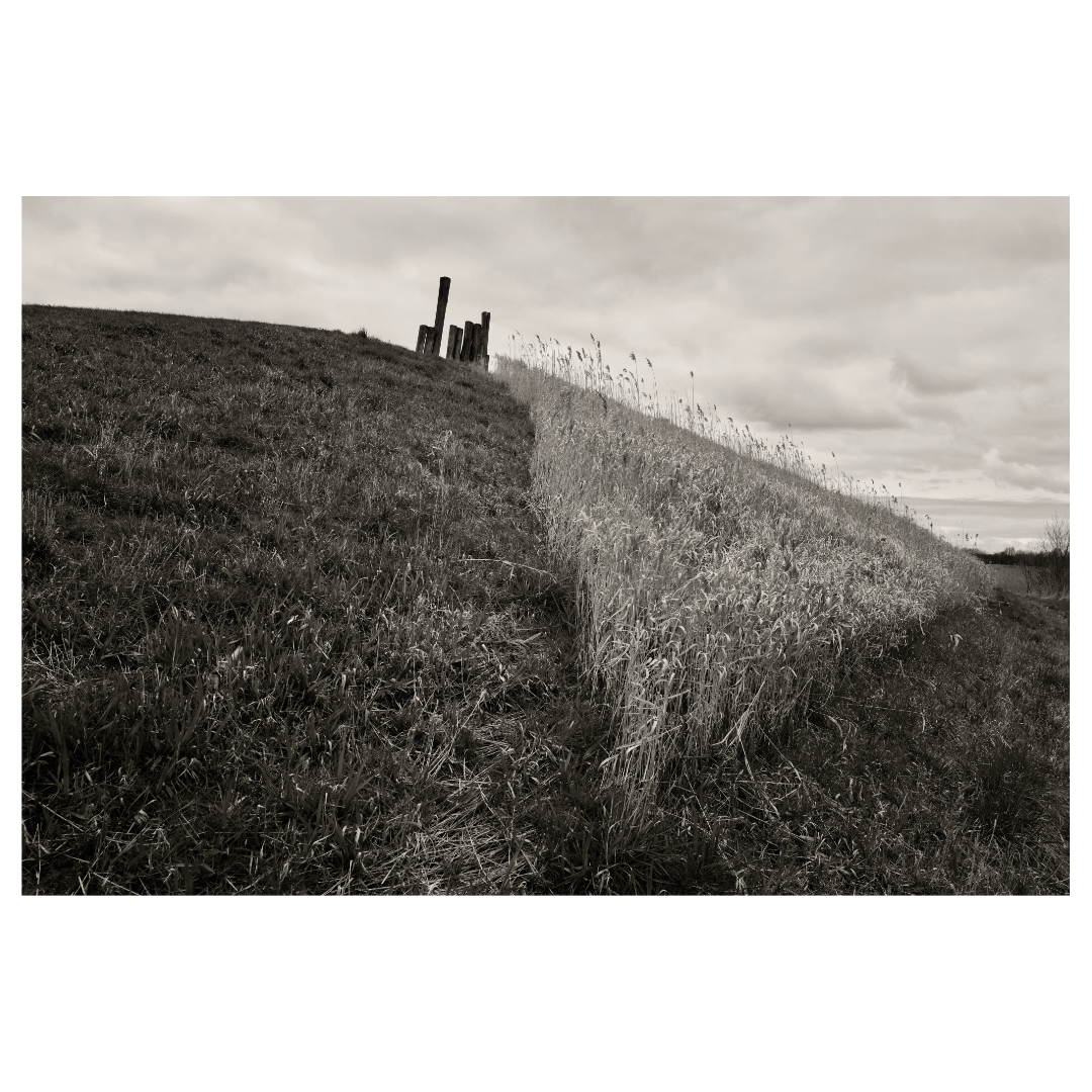 the hill