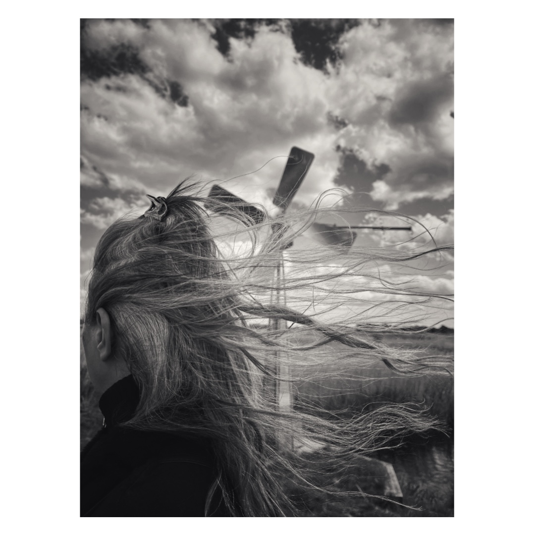 the wind