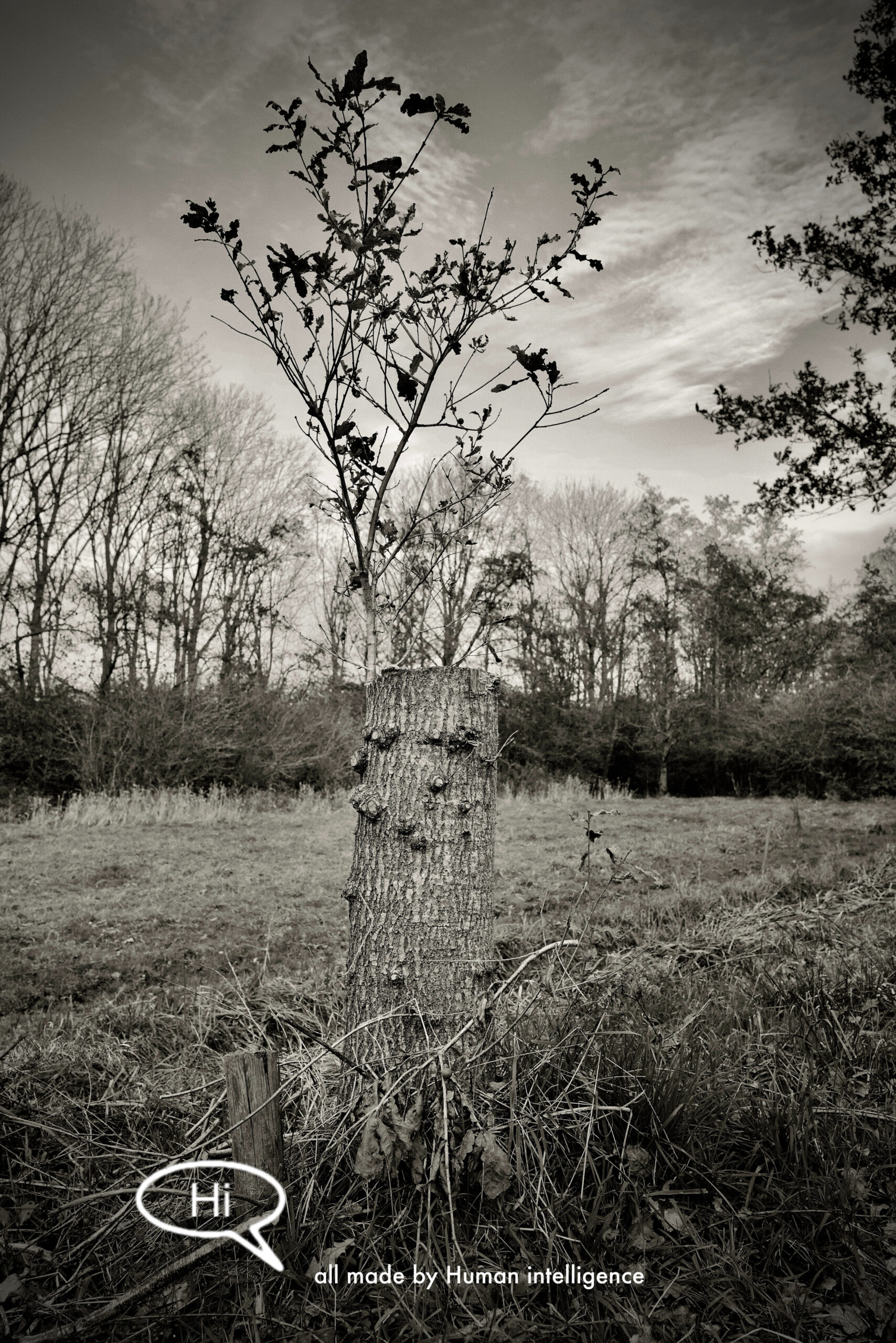 the Ultimate imperfection