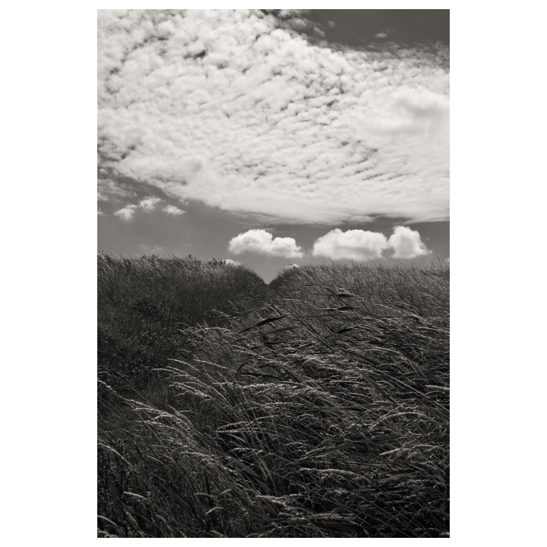 new horizon