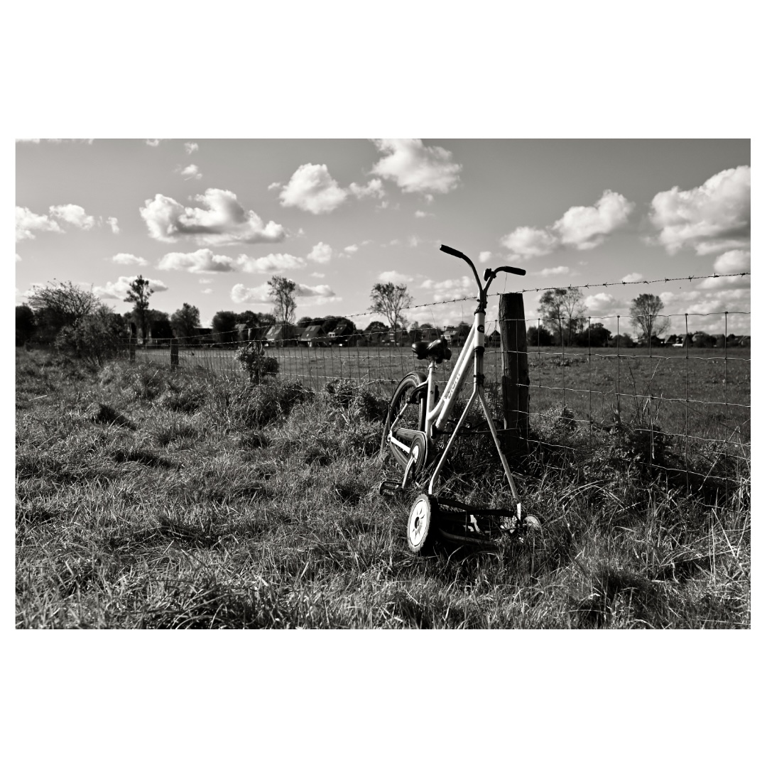 lawn mowers walk