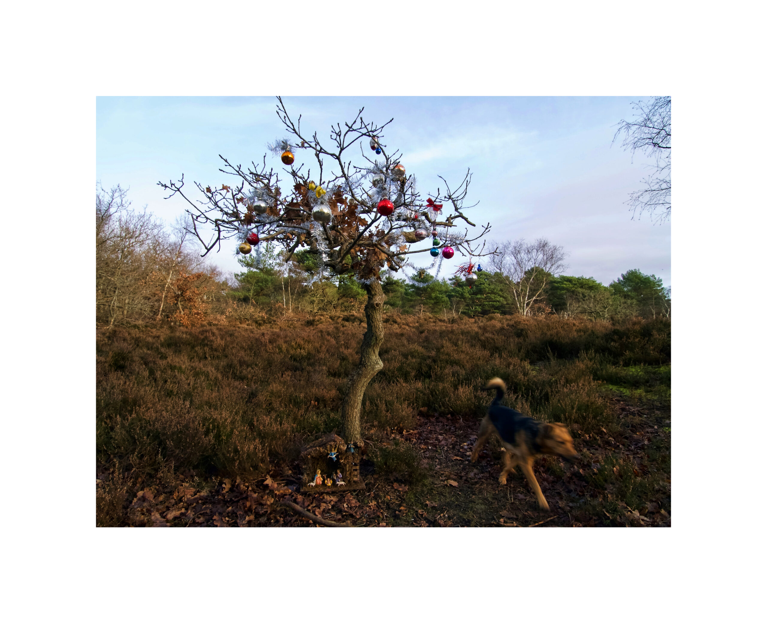 take on the blank space