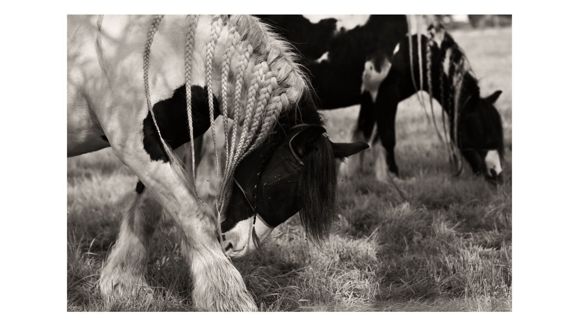 the sound of silence